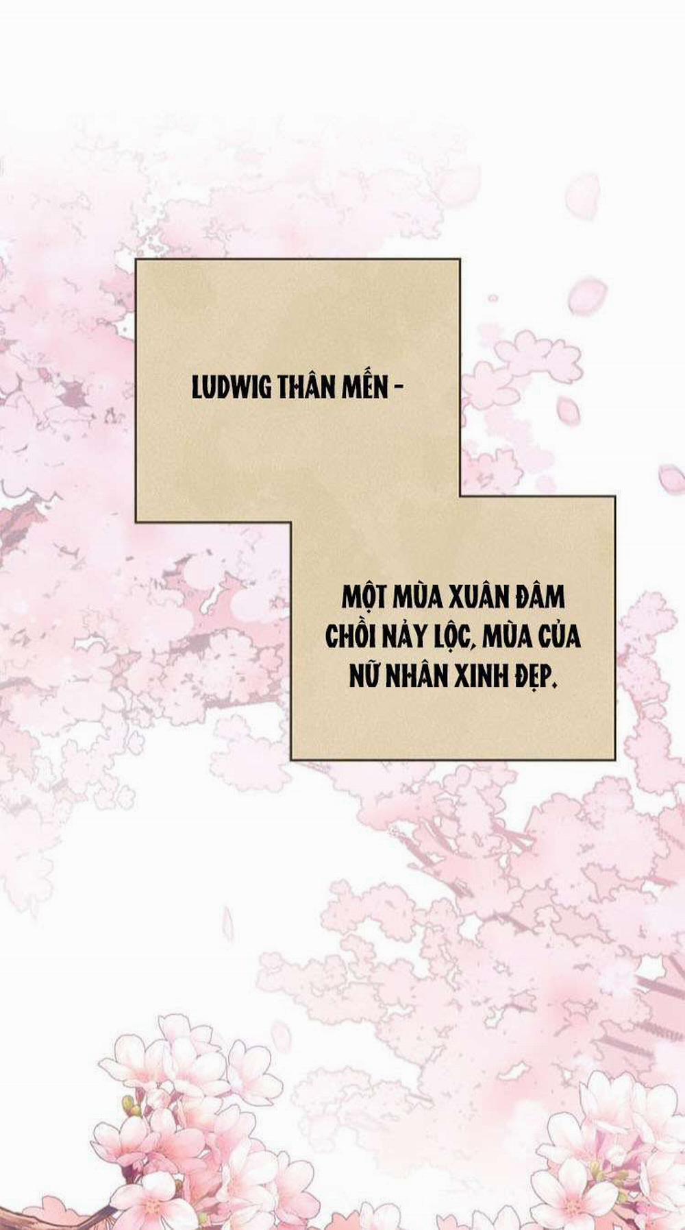 Tôi Là Minh Chứng Của Sự Thật 62 trang 13