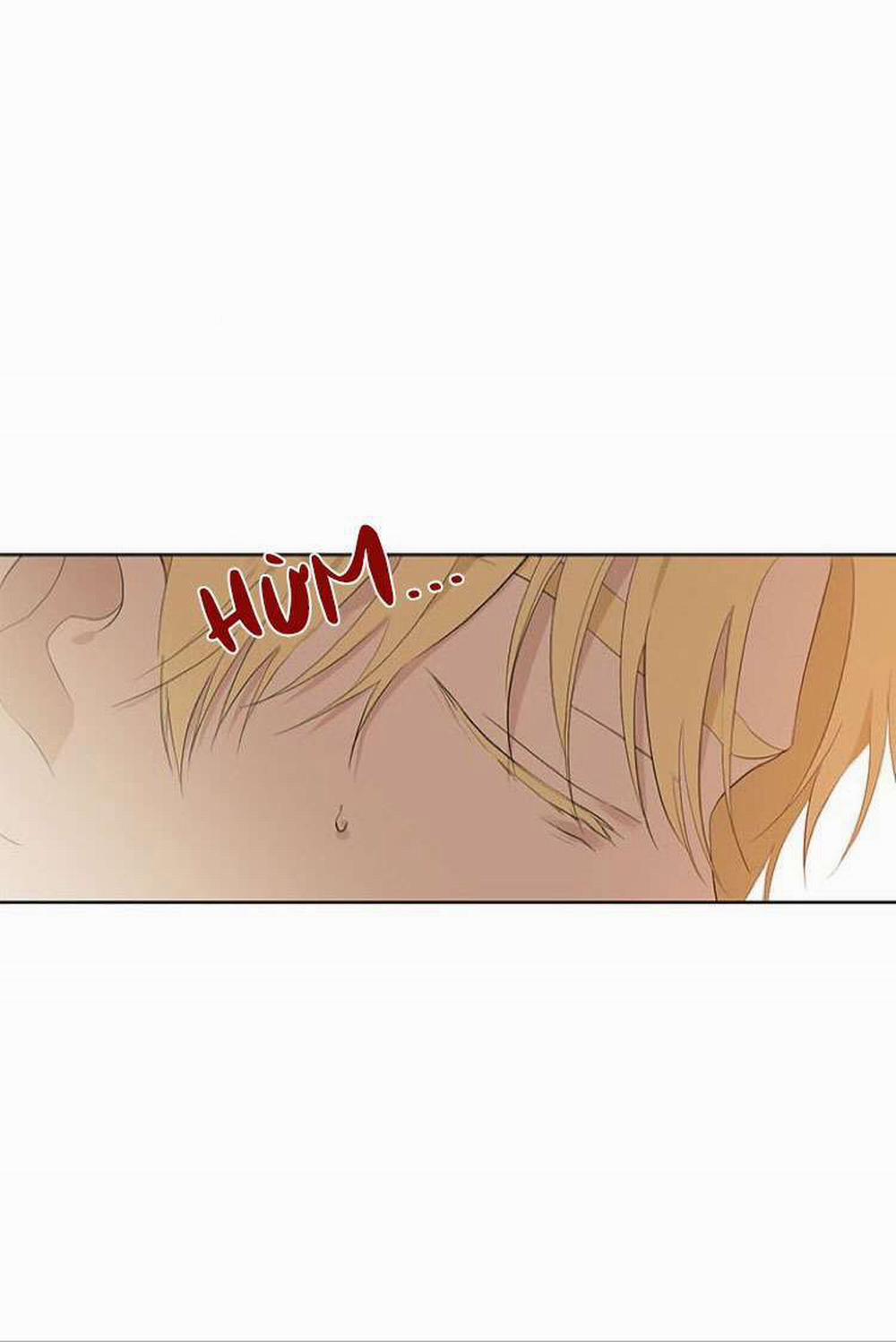 Tôi Là Minh Chứng Của Sự Thật 62 trang 26