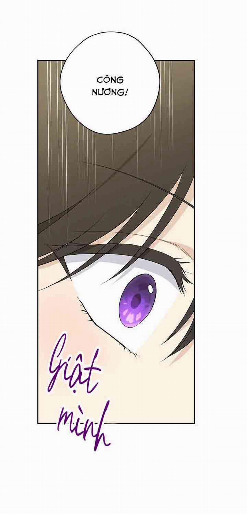 Tôi Là Minh Chứng Của Sự Thật 81 trang 13