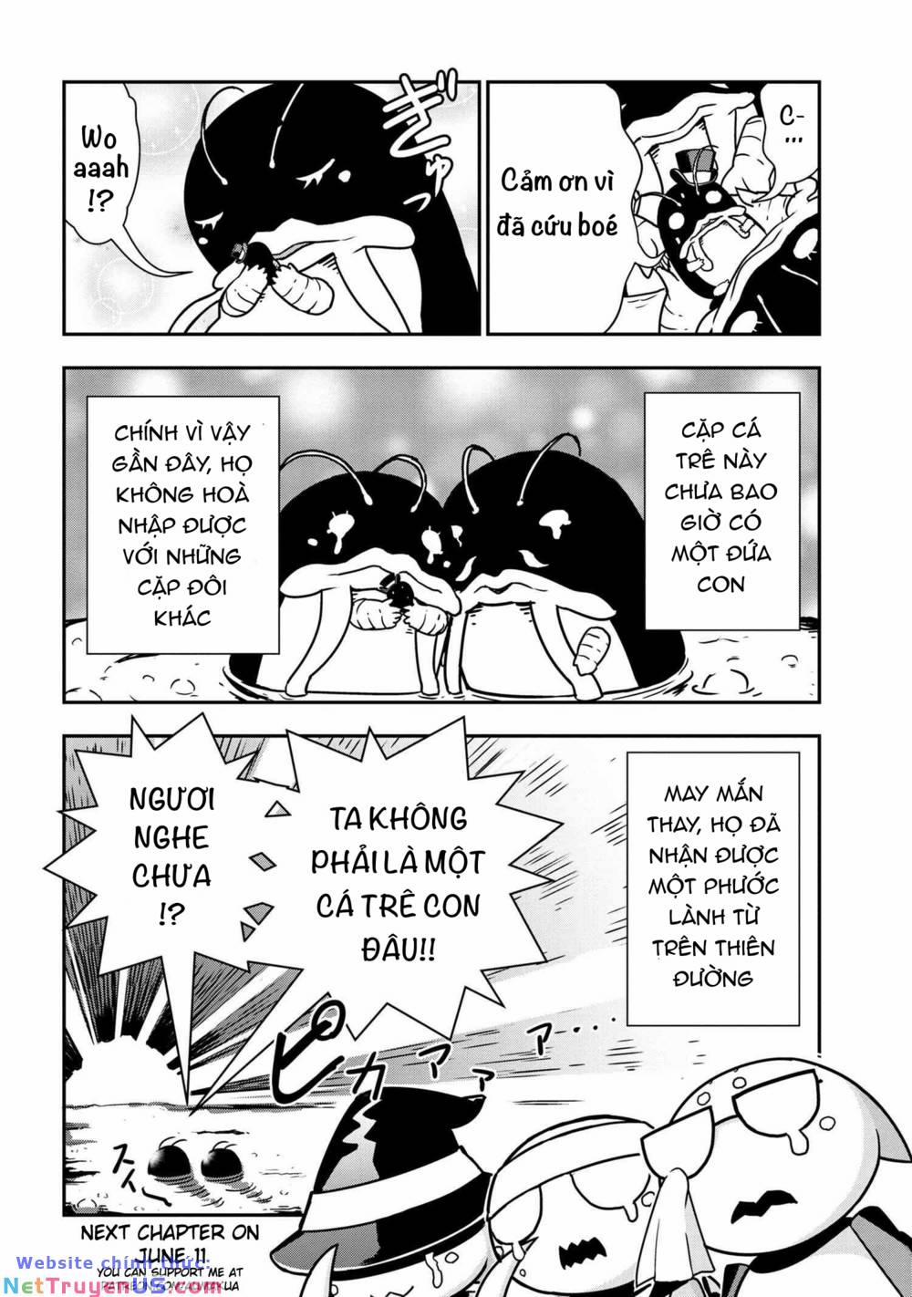 Tôi Là Nhện Đấy Thi Sao Nào? Cuộc Sống Của 4 Chị Em Nhện 38 trang 8