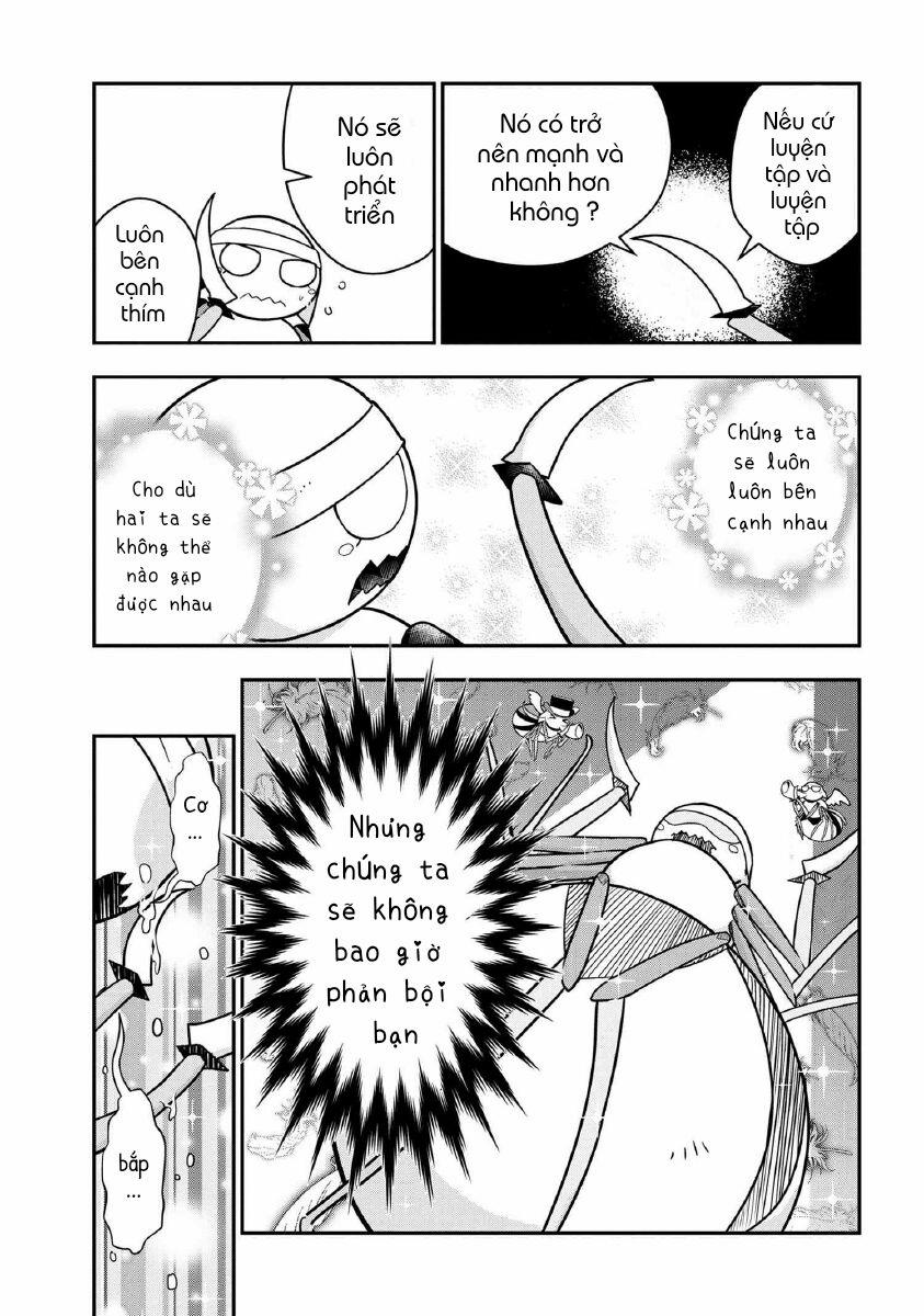 Tôi Là Nhện Đấy Thi Sao Nào? Cuộc Sống Của 4 Chị Em Nhện 8 trang 6