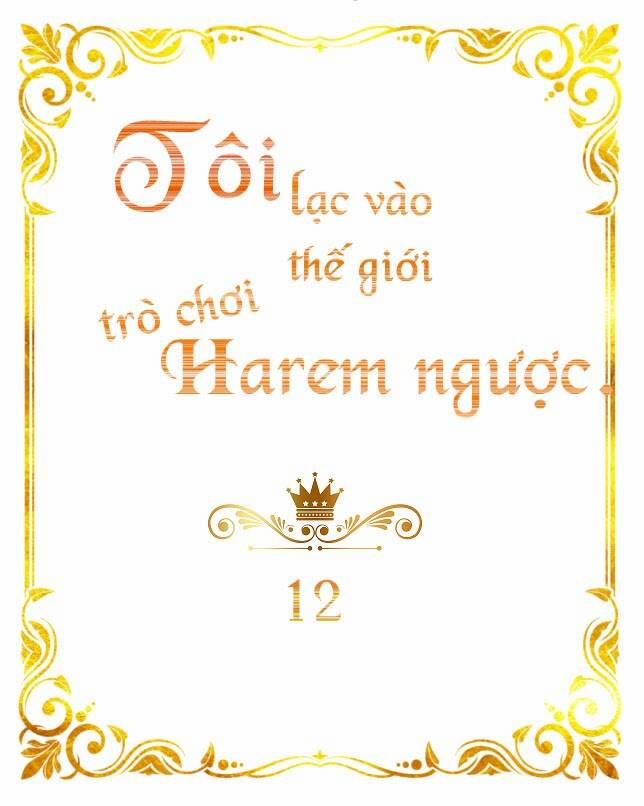 Tôi Lạc Vào Thế Giới Trò Chơi Harem Ngược 12 trang 0