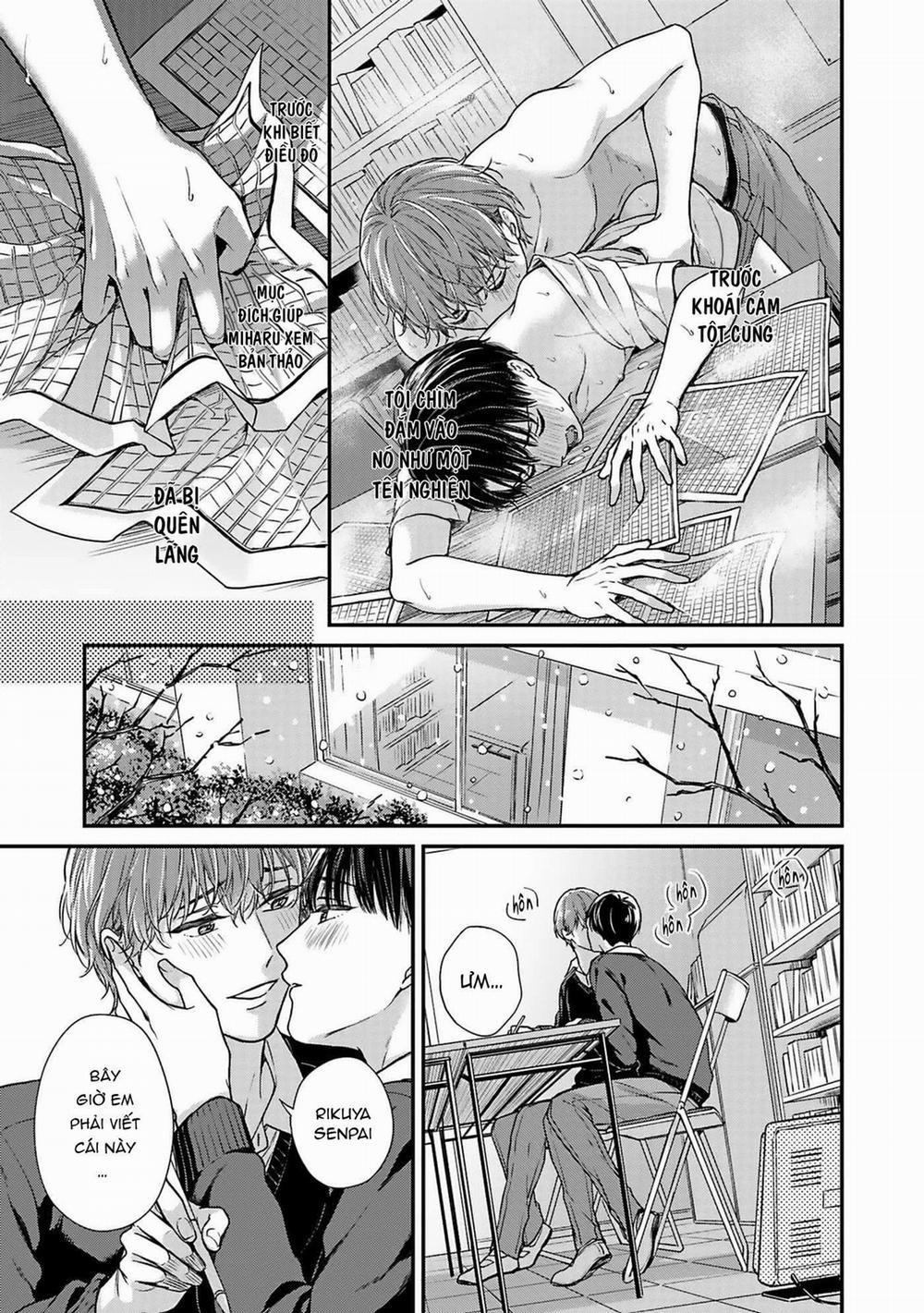 Tôi Làm Vệ sĩ Cho Người Yêu Cũ 4 trang 14