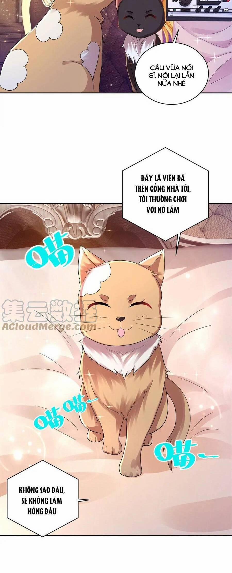 Tôi Muốn Trở Thành Tiểu Thư Công Tước Phế Vật 177 trang 18