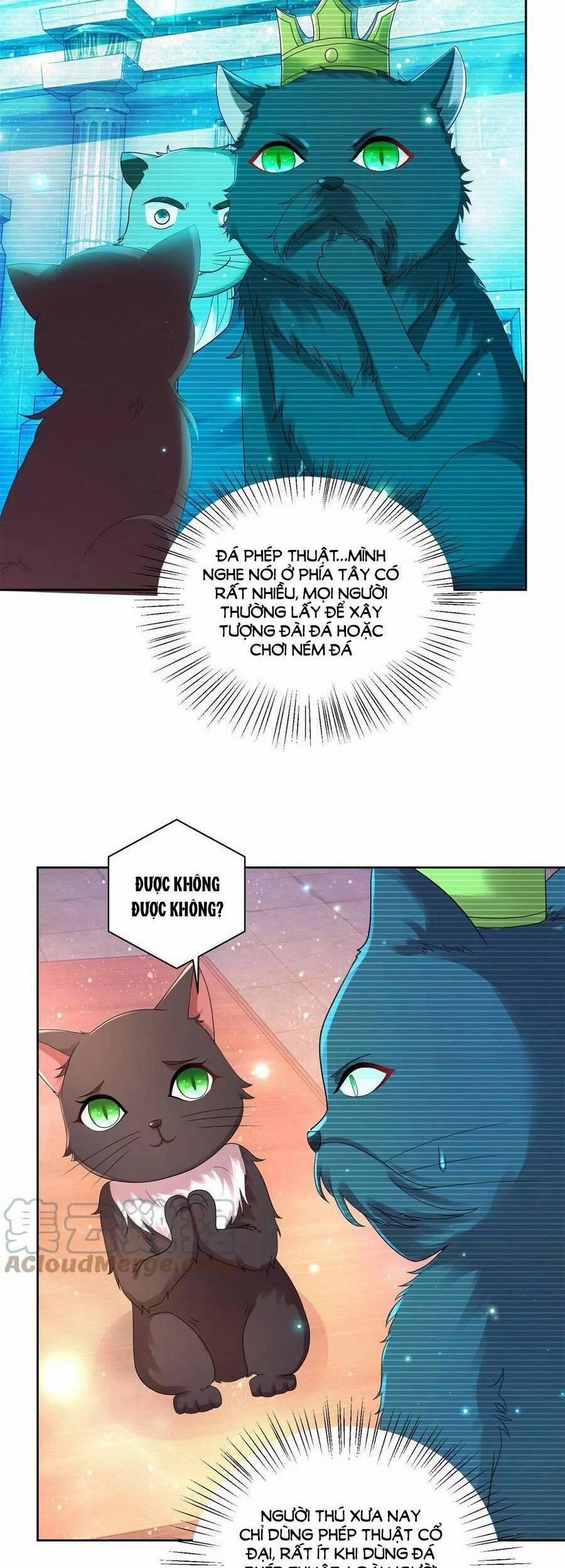 Tôi Muốn Trở Thành Tiểu Thư Công Tước Phế Vật 177 trang 23