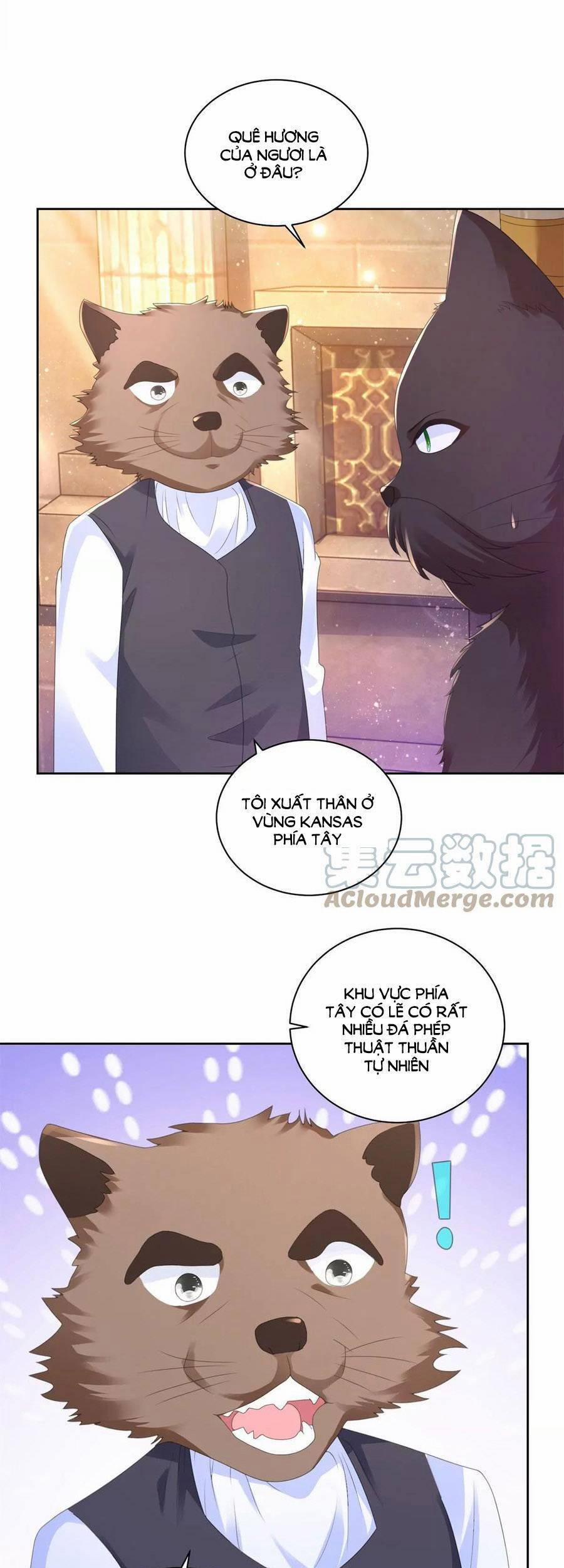 Tôi Muốn Trở Thành Tiểu Thư Công Tước Phế Vật 178 trang 5