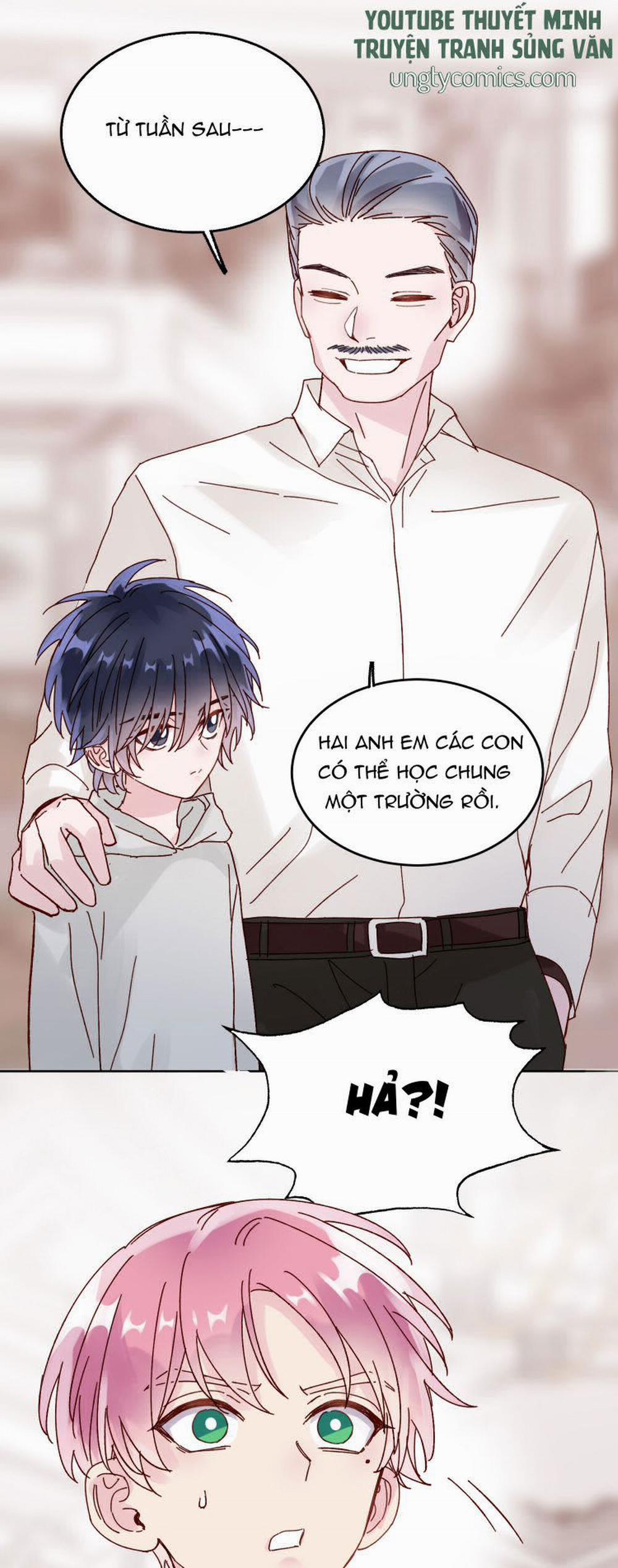 Tôi Phải Làm 1 Kẻ Đại Xấu Xa 10 trang 14