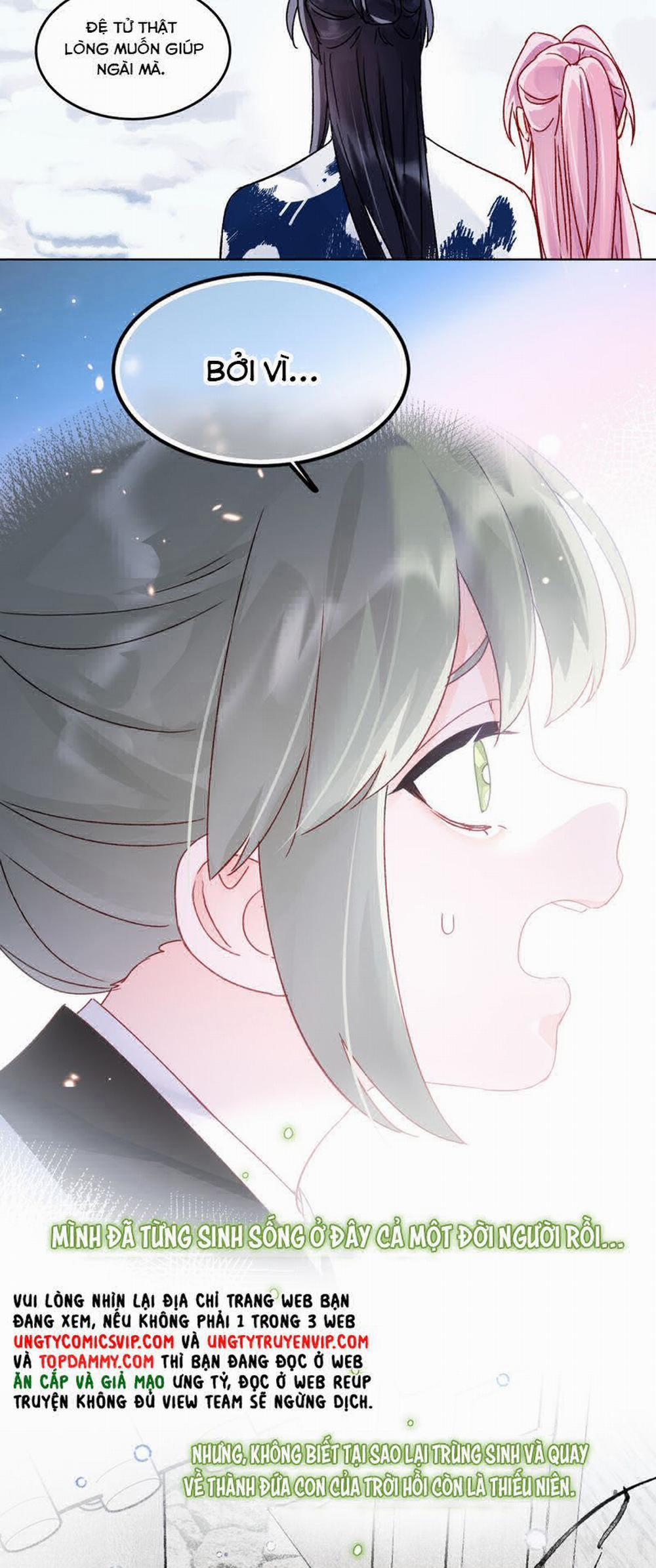 Tôi Phải Làm 1 Kẻ Đại Xấu Xa 117 trang 17