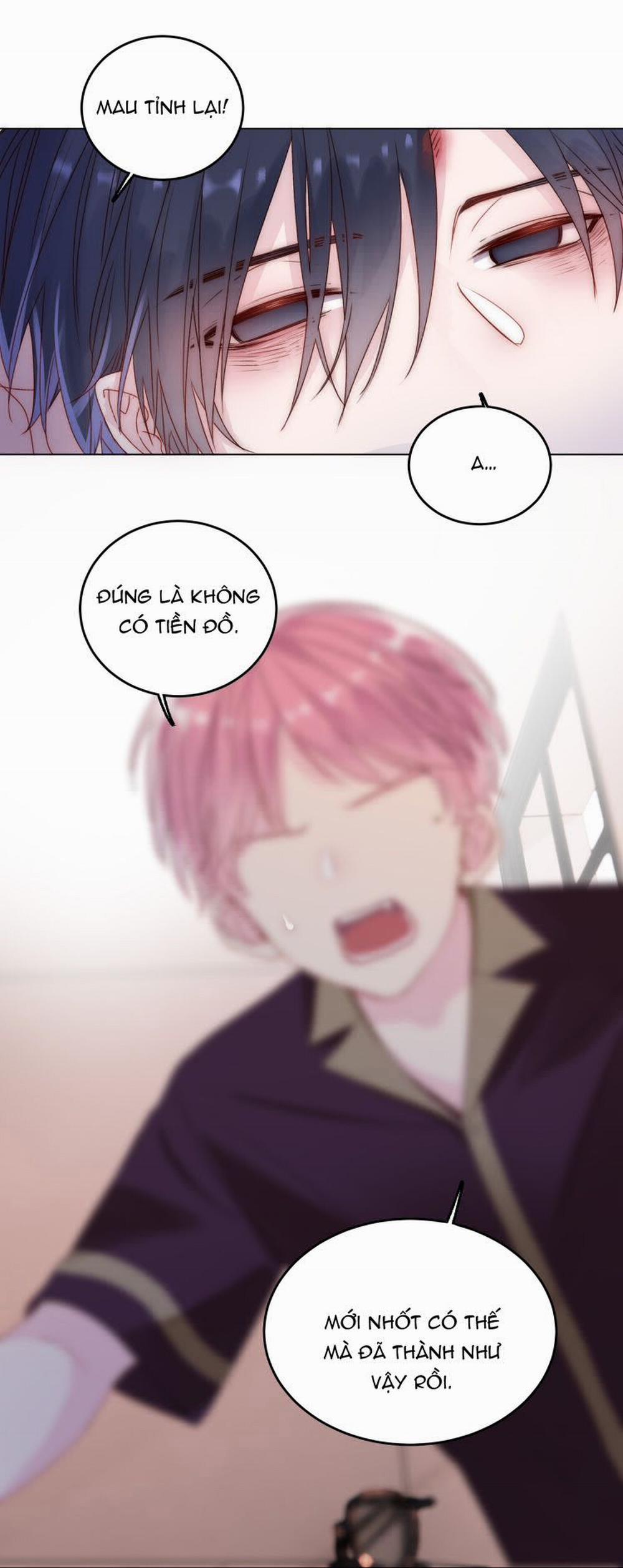 Tôi Phải Làm 1 Kẻ Đại Xấu Xa 14 trang 9