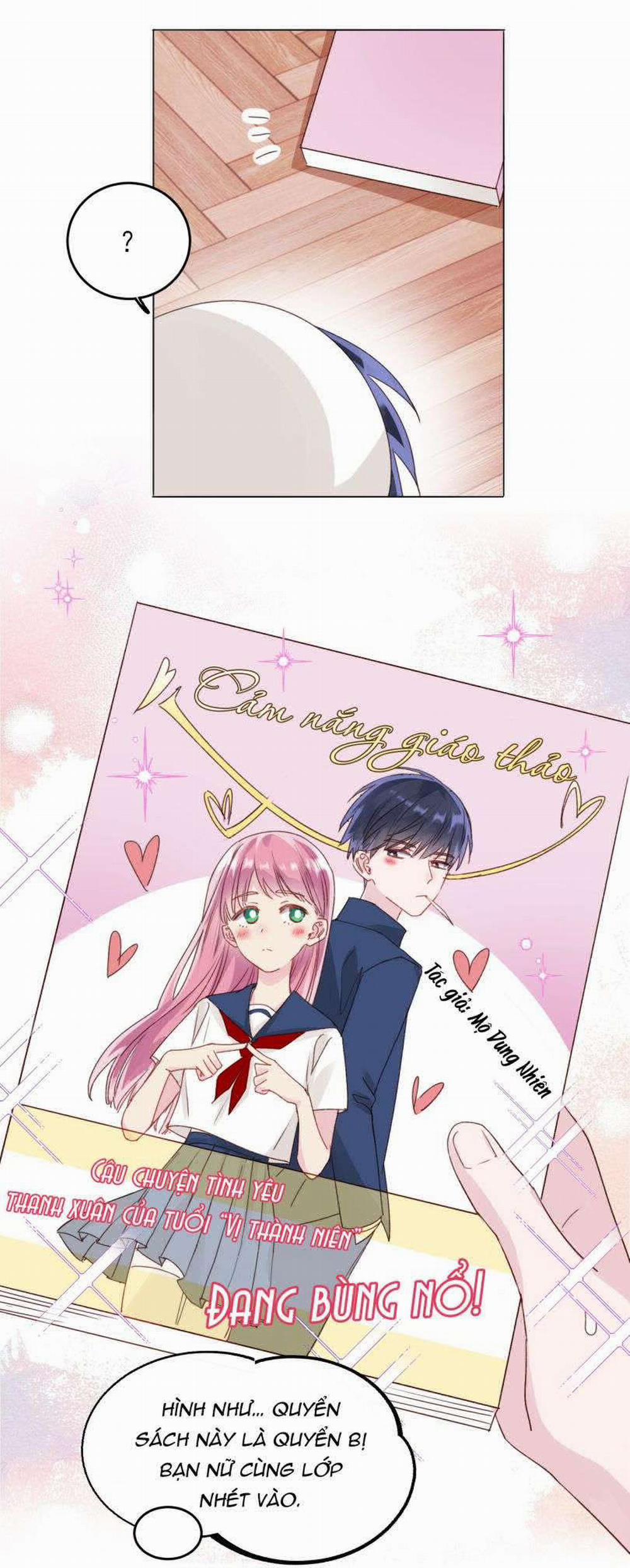 Tôi Phải Làm 1 Kẻ Đại Xấu Xa 16 trang 13