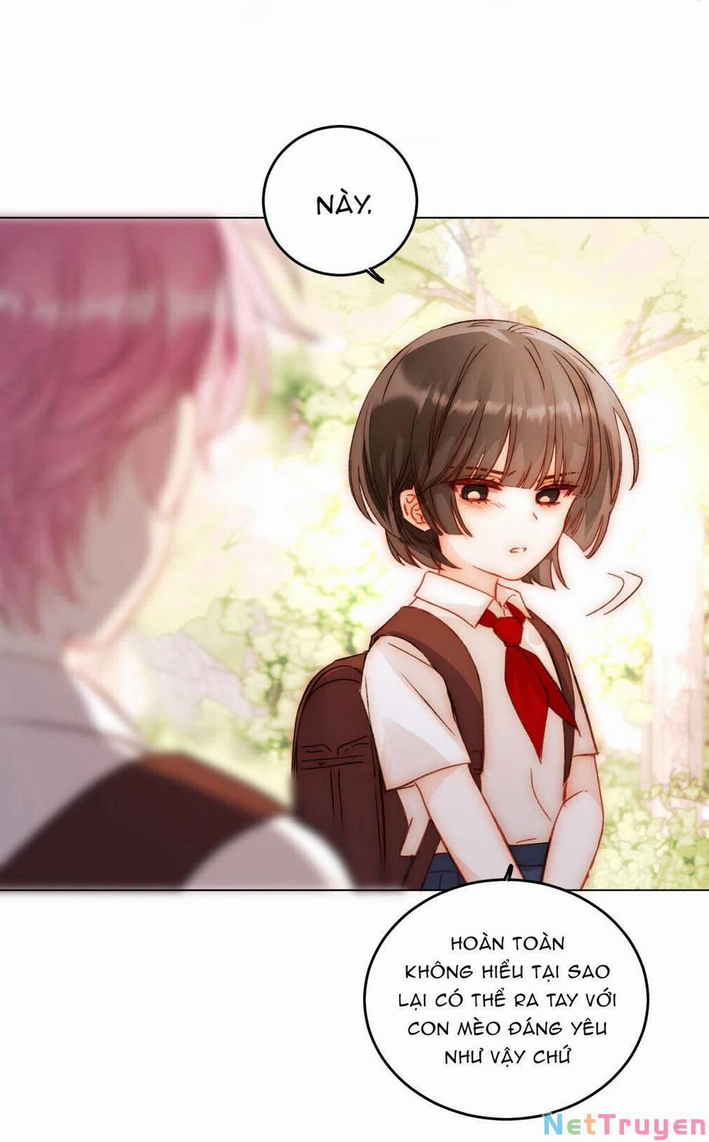 Tôi Phải Làm 1 Kẻ Đại Xấu Xa 45 trang 11