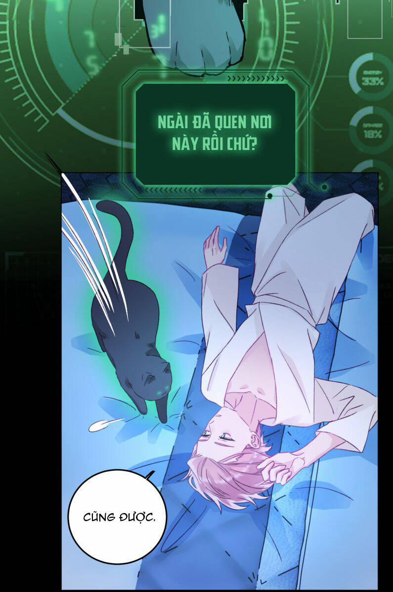 Tôi Phải Làm 1 Kẻ Đại Xấu Xa 47 trang 25