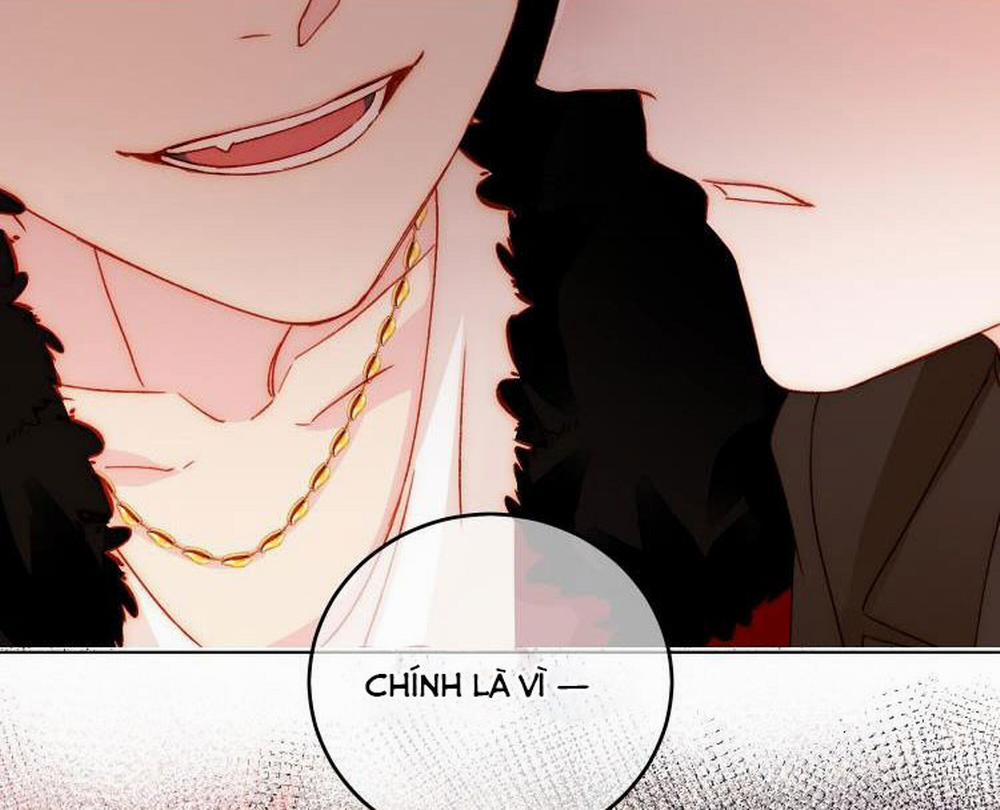 Tôi Phải Làm 1 Kẻ Đại Xấu Xa 48 trang 15