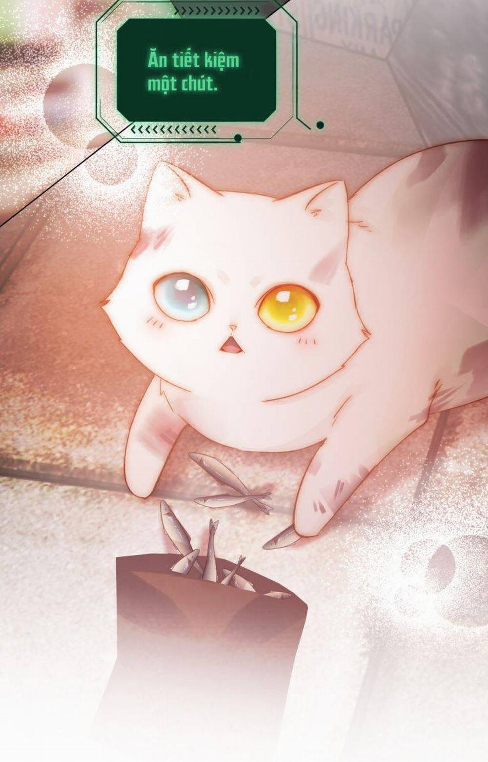 Tôi Phải Làm 1 Kẻ Đại Xấu Xa 65 trang 7