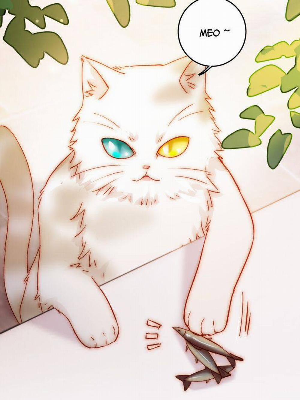 Tôi Phải Làm 1 Kẻ Đại Xấu Xa 69 trang 21