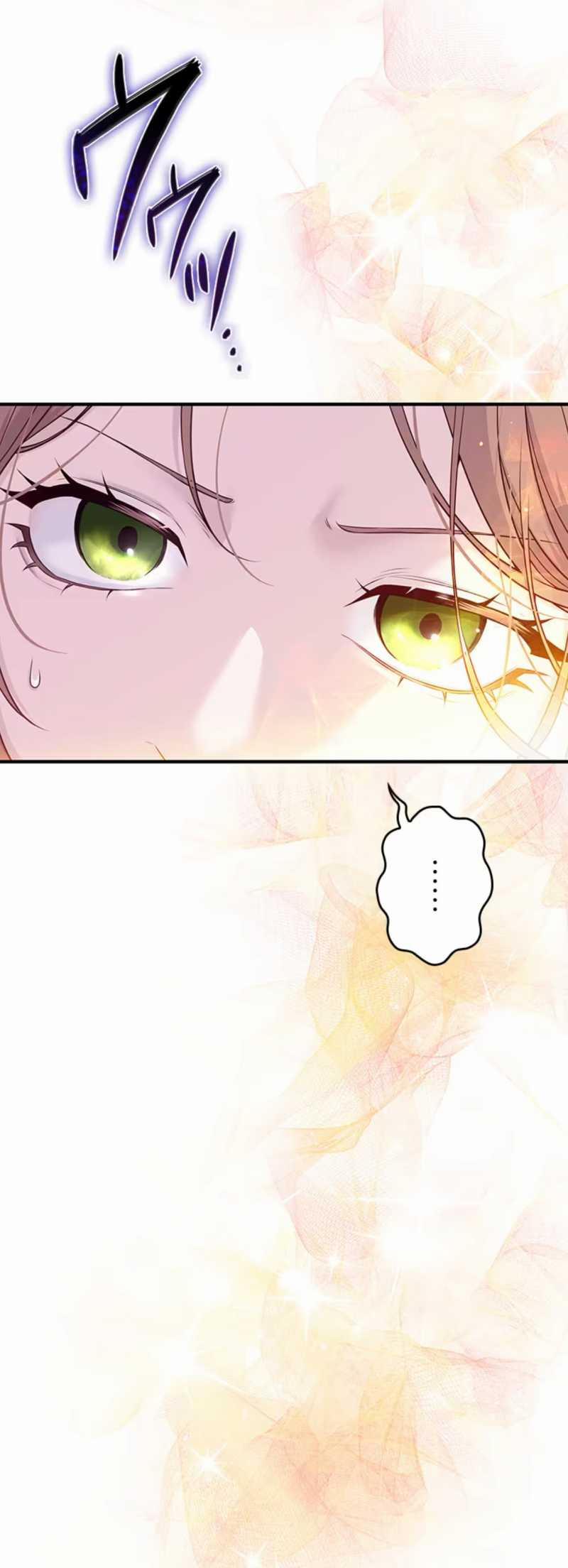 Tôi Sẽ Biến Anh Ta Từ Một Con Chó Điên Thành Một Chàng Quý Tộc 1.1 trang 8