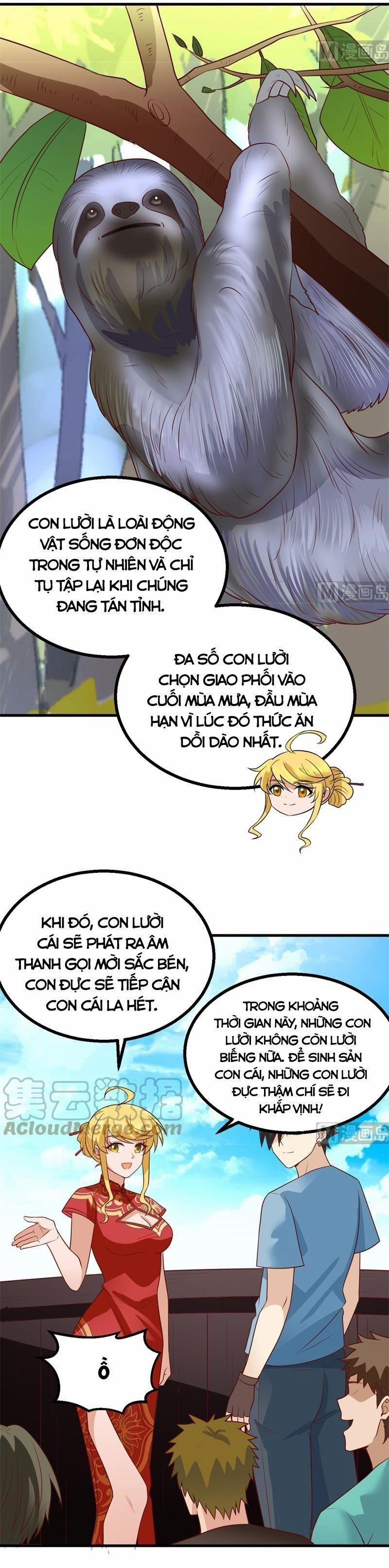 Tôi Sống Trên Hoang Đảo Cùng Các Em Gái 151 trang 13