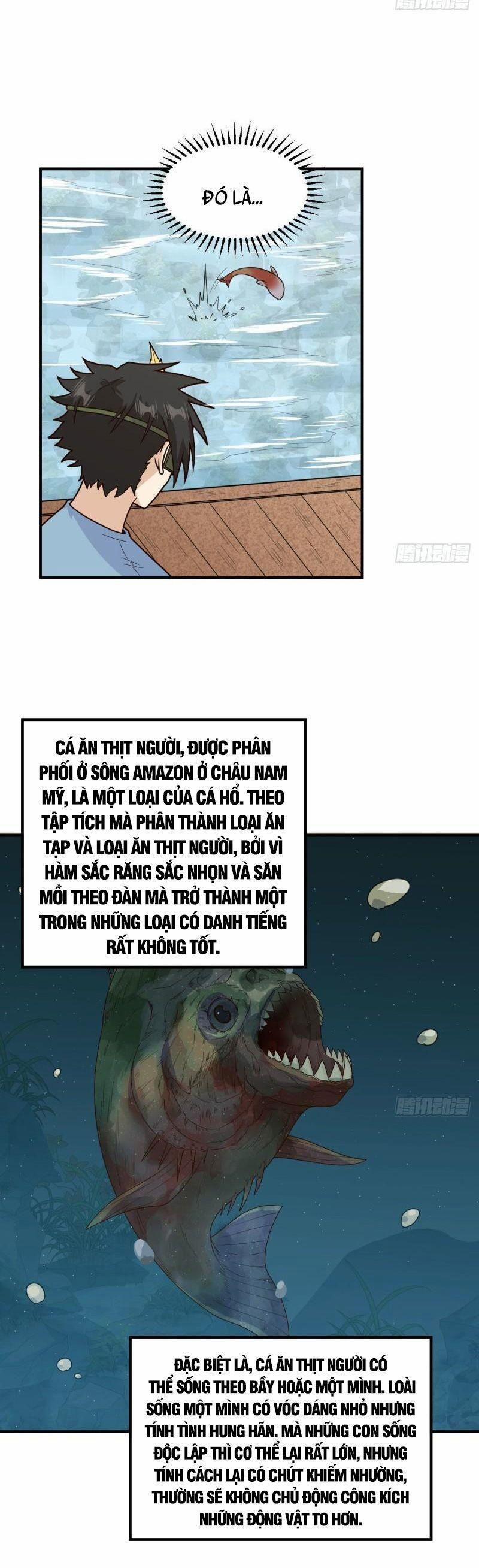 Tôi Sống Trên Hoang Đảo Cùng Các Em Gái 178 trang 11