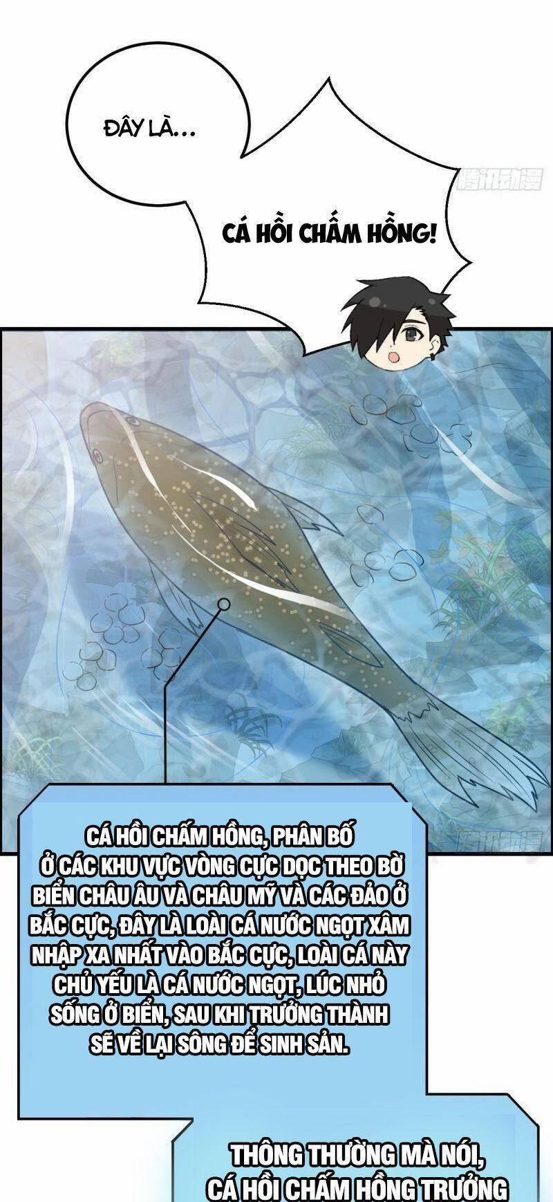 Tôi Sống Trên Hoang Đảo Cùng Các Em Gái 229 trang 4