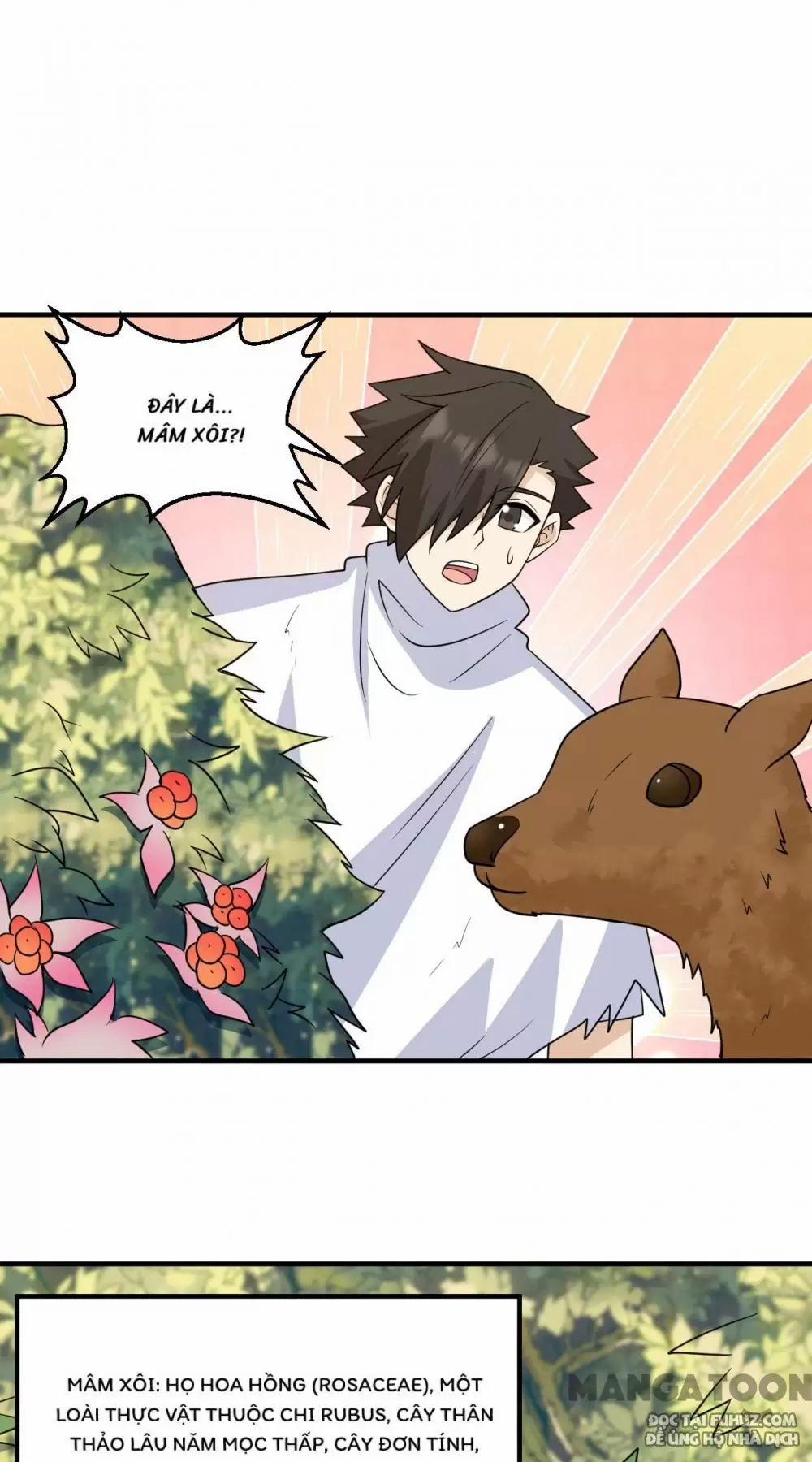 Tôi Sống Trên Hoang Đảo Cùng Các Em Gái 232 trang 10