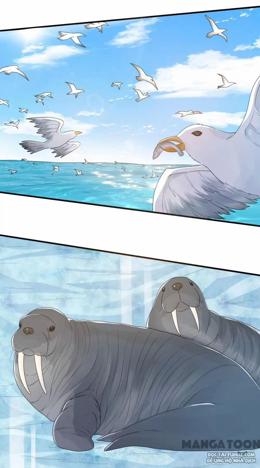 Tôi Sống Trên Hoang Đảo Cùng Các Em Gái 233 trang 10