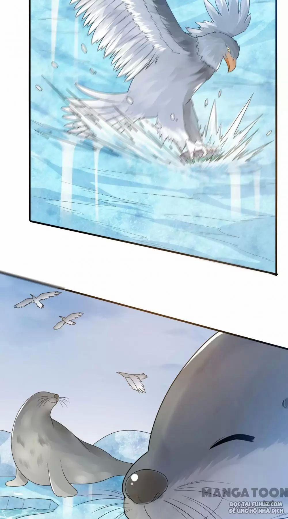 Tôi Sống Trên Hoang Đảo Cùng Các Em Gái 233 trang 8