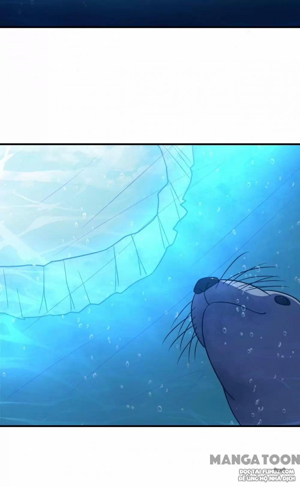 Tôi Sống Trên Hoang Đảo Cùng Các Em Gái 234 trang 28