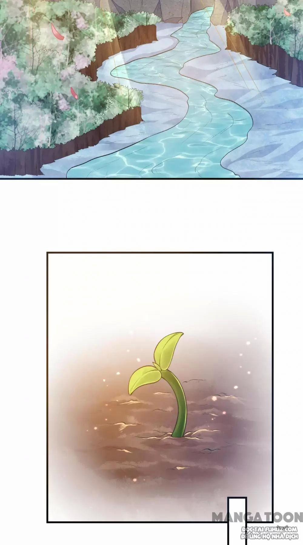 Tôi Sống Trên Hoang Đảo Cùng Các Em Gái 242 trang 34