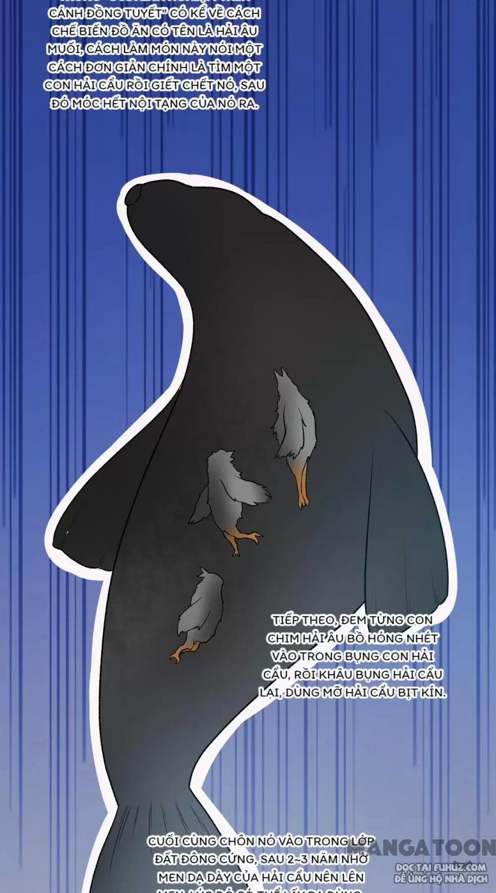 Tôi Sống Trên Hoang Đảo Cùng Các Em Gái 245 trang 31