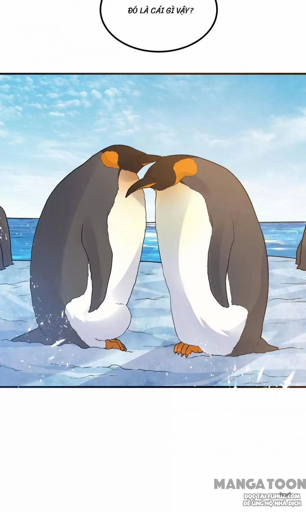 Tôi Sống Trên Hoang Đảo Cùng Các Em Gái 246 trang 34