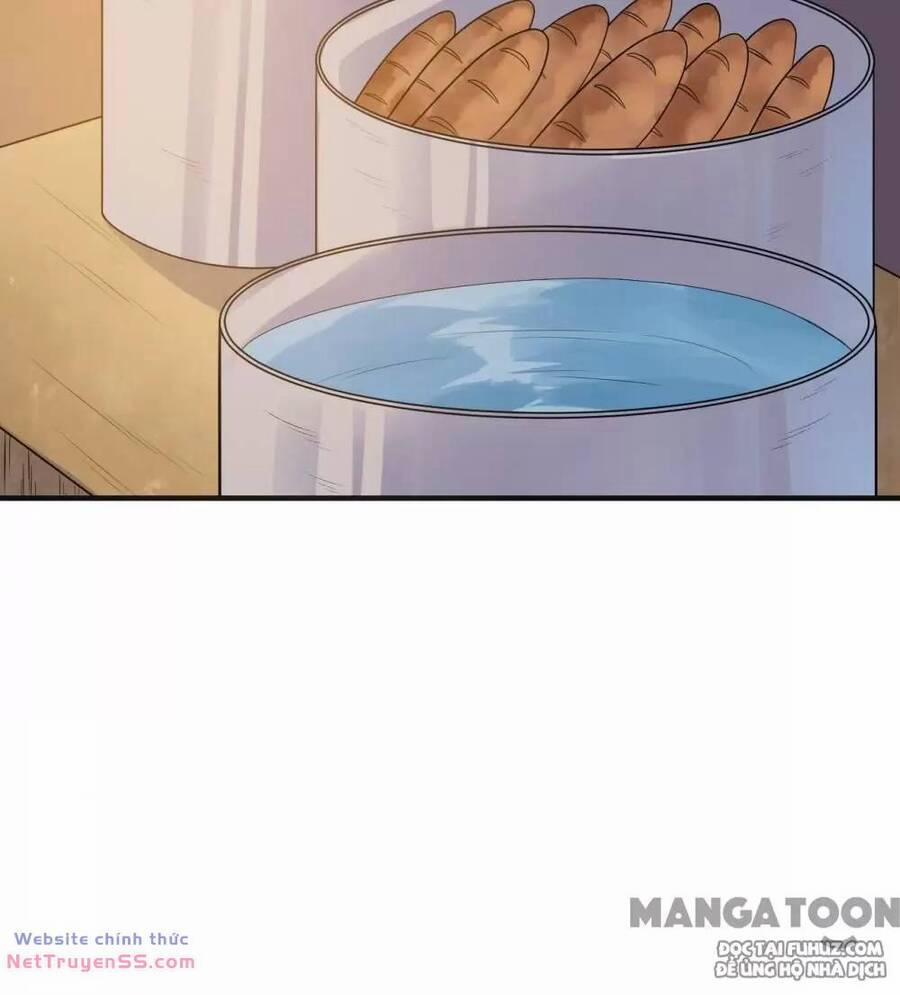 Tôi Sống Trên Hoang Đảo Cùng Các Em Gái 257 trang 19