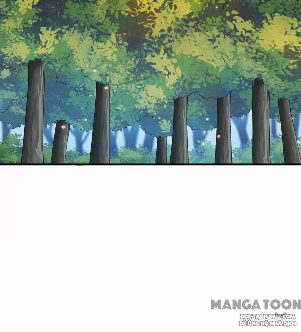 Tôi Sống Trên Hoang Đảo Cùng Các Em Gái 277 trang 29