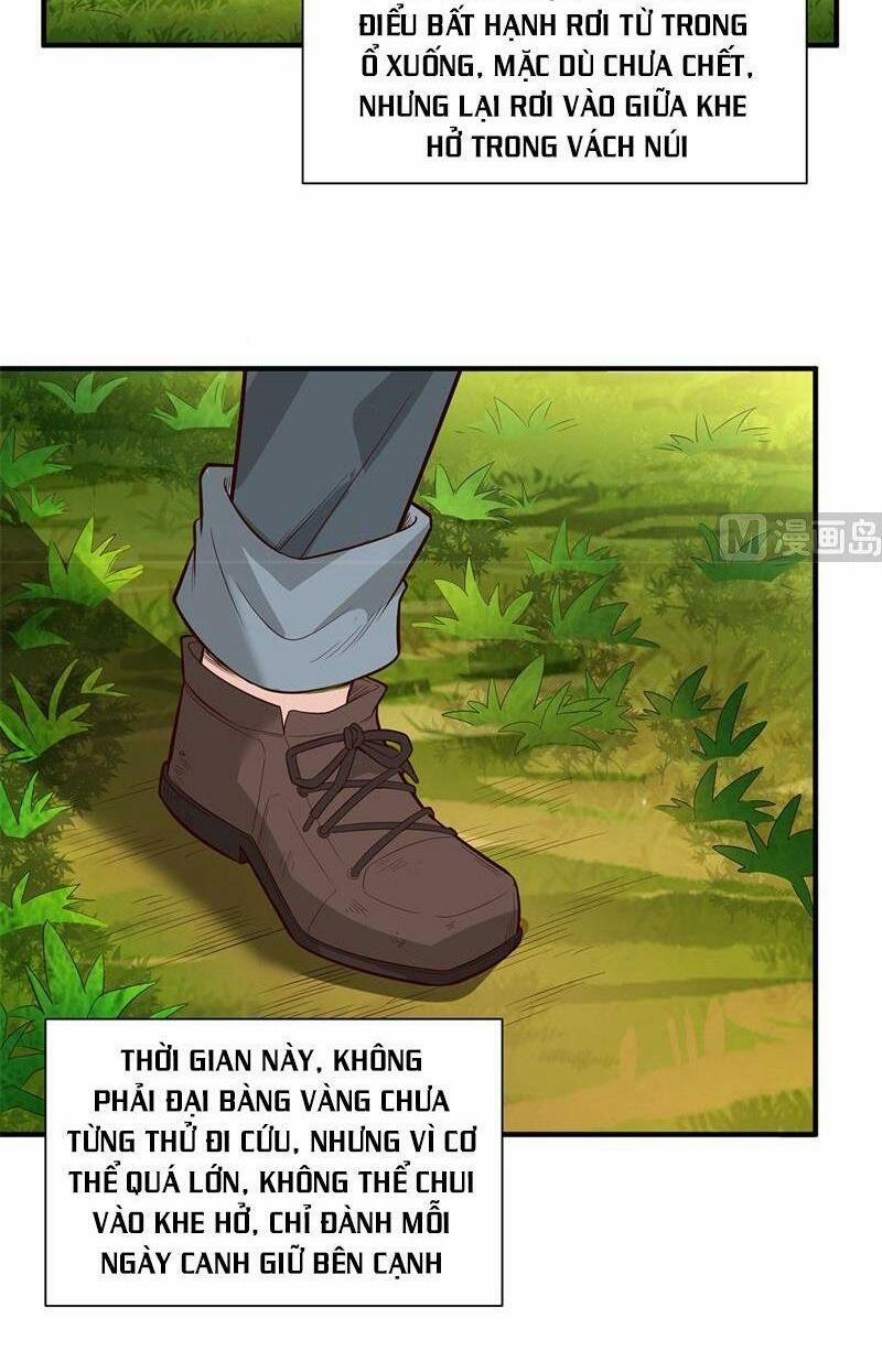 Tôi Sống Trên Hoang Đảo Cùng Các Em Gái 49 trang 13