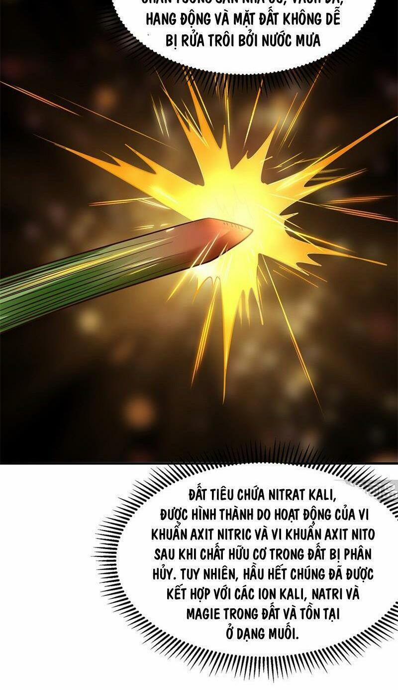 Tôi Sống Trên Hoang Đảo Cùng Các Em Gái 58 trang 29