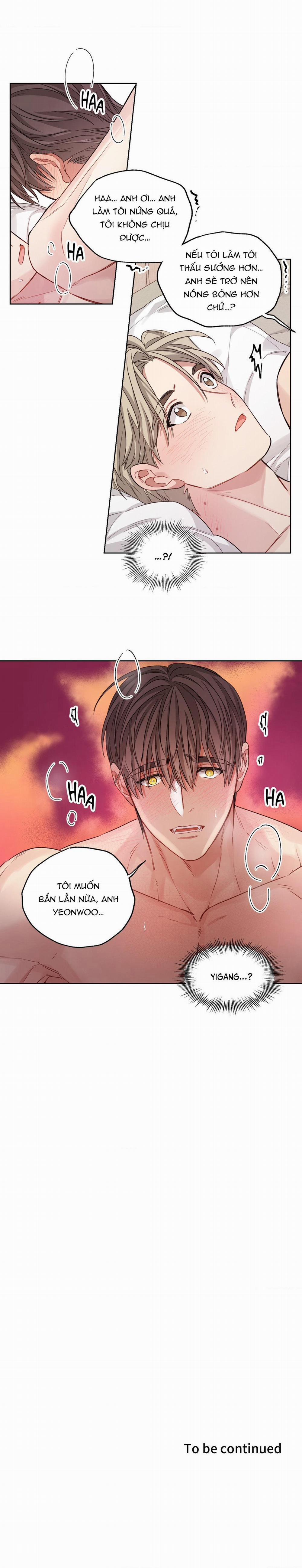 Tôi Thề, Tôi Không Phải Kẻ Lừa Đảo Đâu 11 trang 17