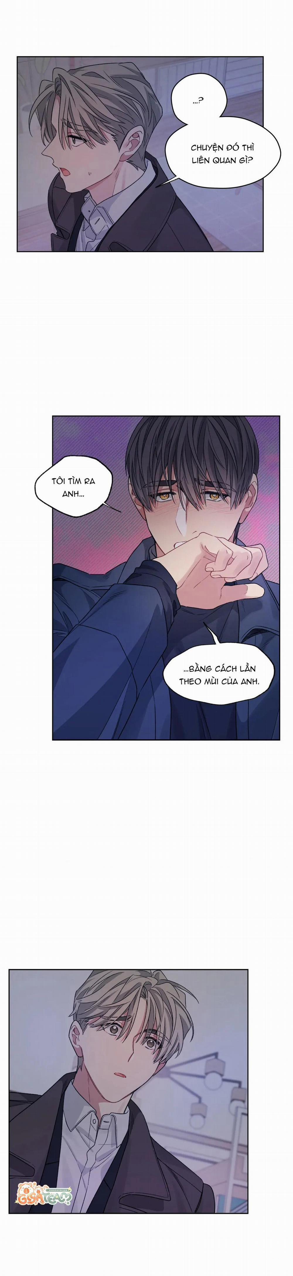 Tôi Thề, Tôi Không Phải Kẻ Lừa Đảo Đâu 15 trang 6