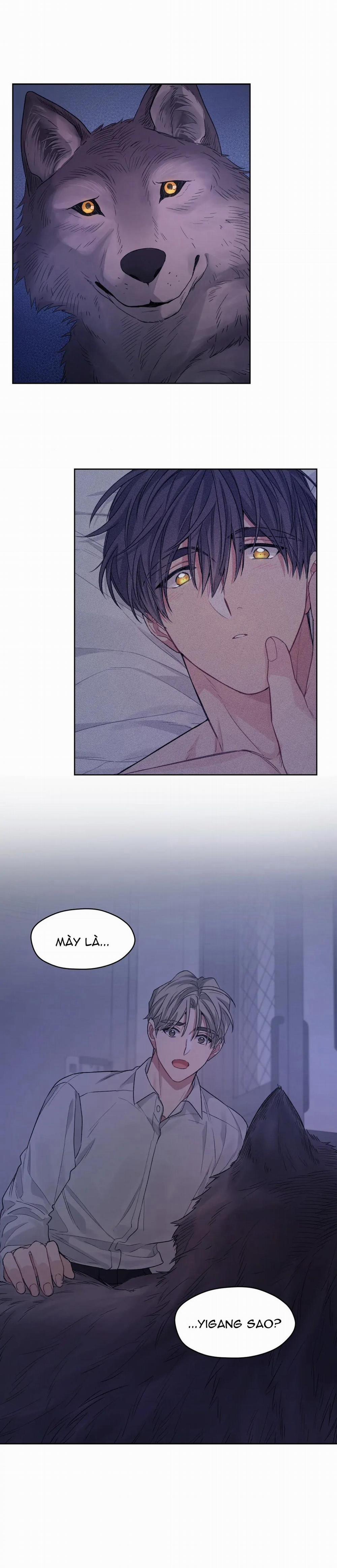 Tôi Thề, Tôi Không Phải Kẻ Lừa Đảo Đâu 16 trang 3