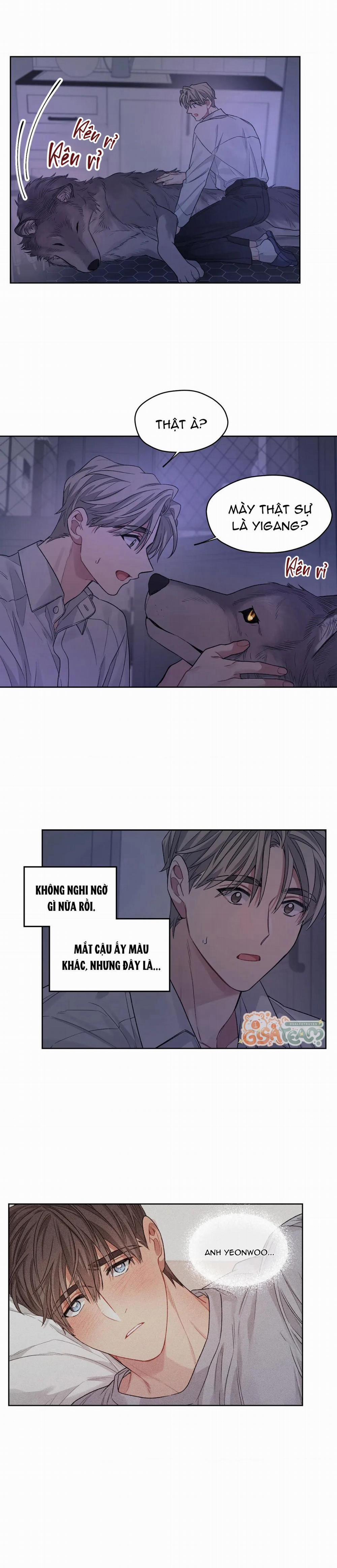 Tôi Thề, Tôi Không Phải Kẻ Lừa Đảo Đâu 16 trang 4