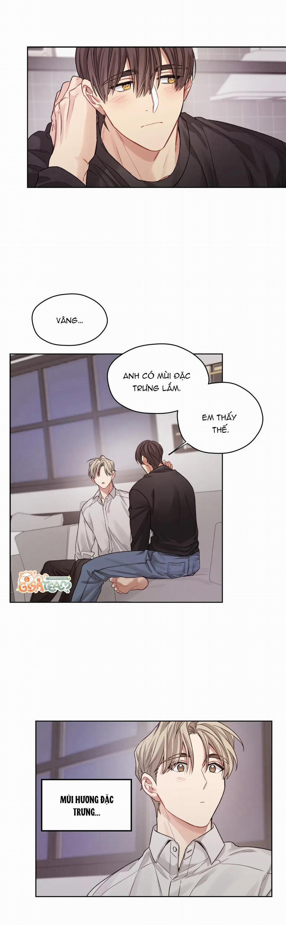 Tôi Thề, Tôi Không Phải Kẻ Lừa Đảo Đâu 17 trang 6