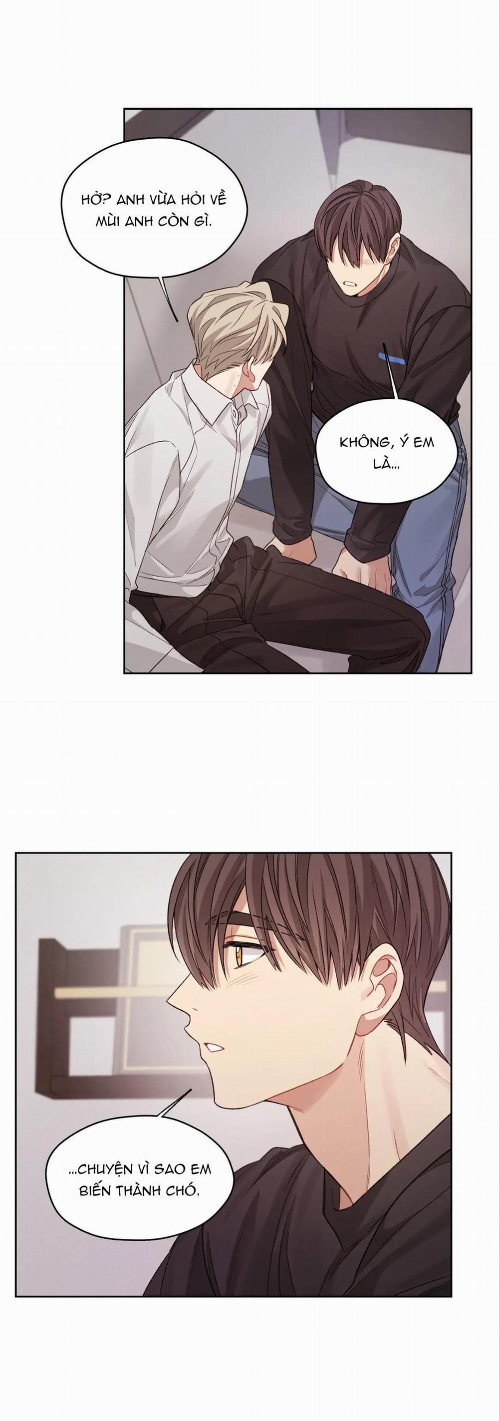 Tôi Thề, Tôi Không Phải Kẻ Lừa Đảo Đâu 17 trang 8