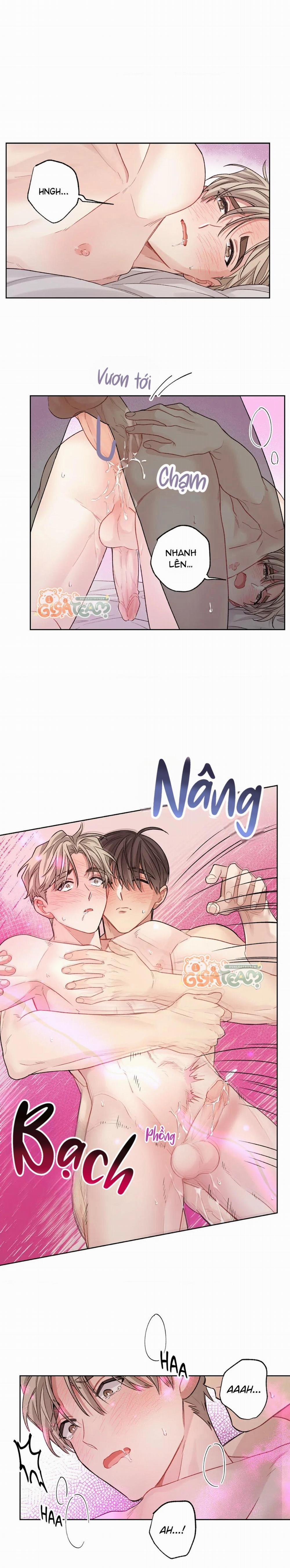 Tôi Thề, Tôi Không Phải Kẻ Lừa Đảo Đâu 19 trang 14