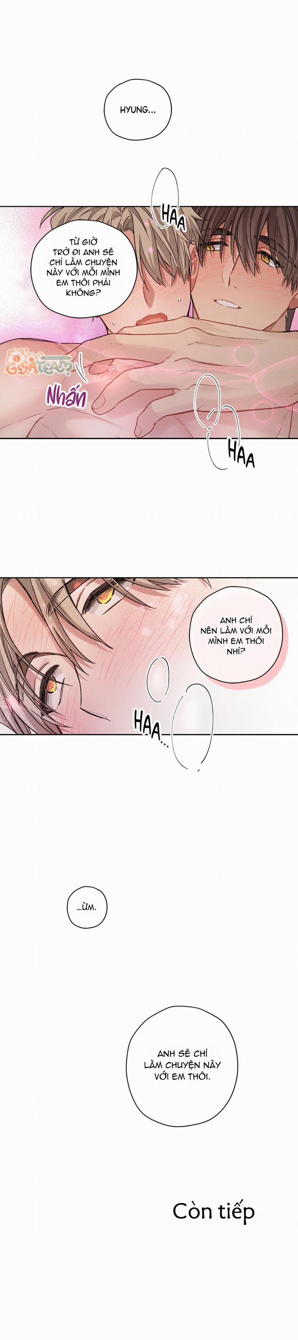 Tôi Thề, Tôi Không Phải Kẻ Lừa Đảo Đâu 19 trang 15