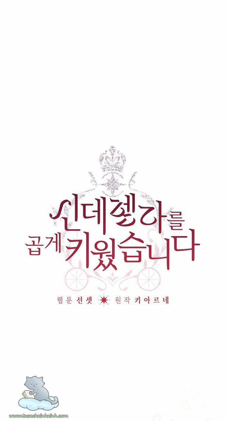 Tôi Trở Thành Mẹ Kế Của Cinderella 65 trang 0