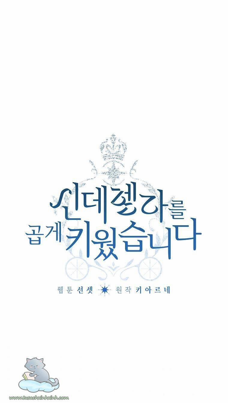 Tôi Trở Thành Mẹ Kế Của Cinderella 68 trang 1