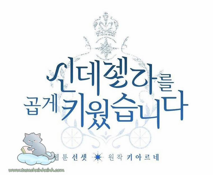 Tôi Trở Thành Mẹ Kế Của Cinderella 73 trang 0