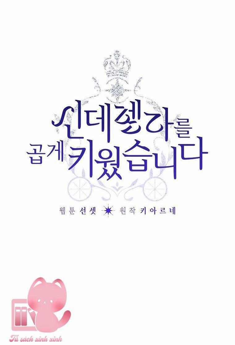 Tôi Trở Thành Mẹ Kế Của Cinderella 95 trang 7