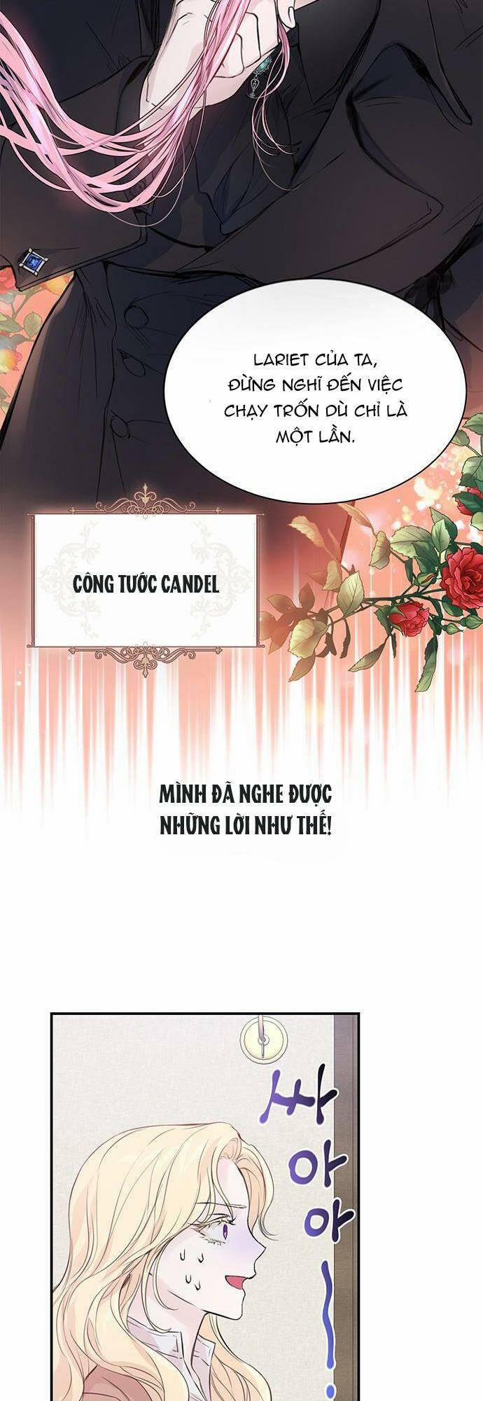 Tôi Tưởng Đây Chính Là Thời Hạn Rồi! 1 trang 4