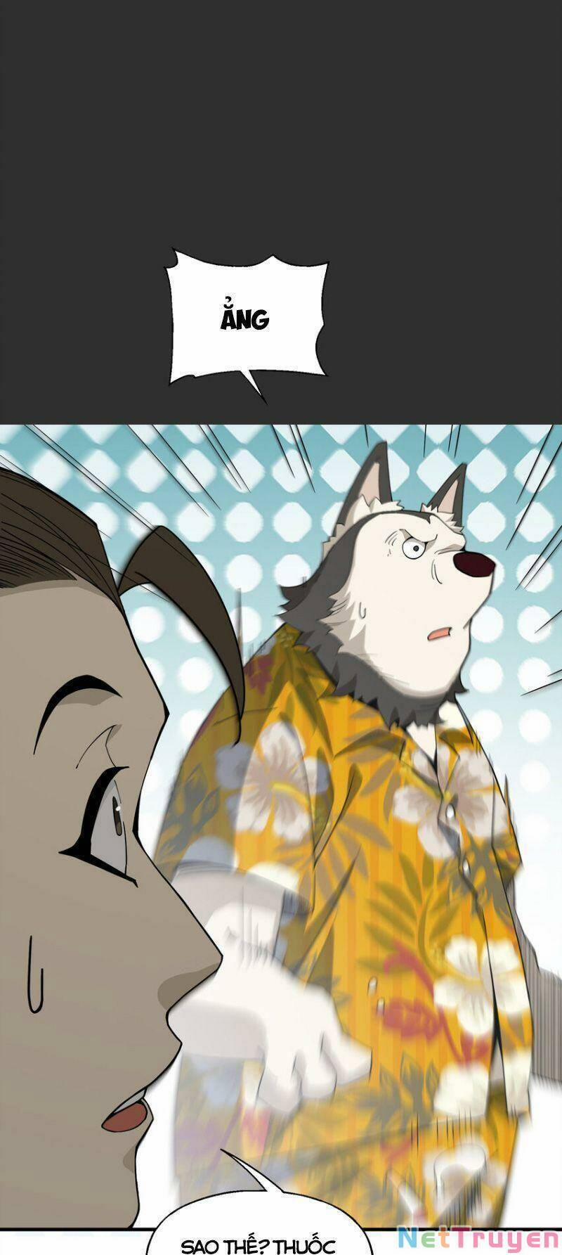 Tôi Vô Địch Sau Khi Xuống Núi 29 trang 13