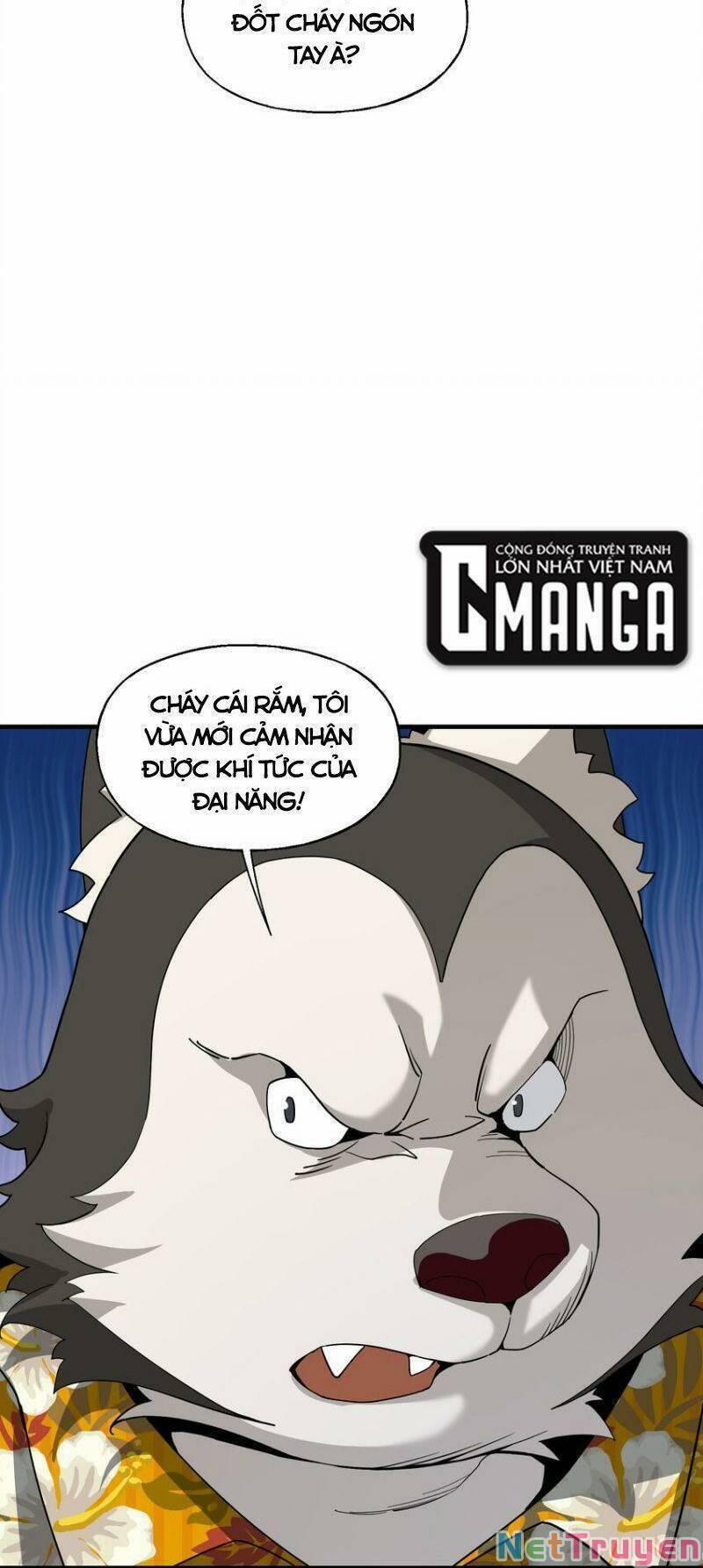 Tôi Vô Địch Sau Khi Xuống Núi 29 trang 14