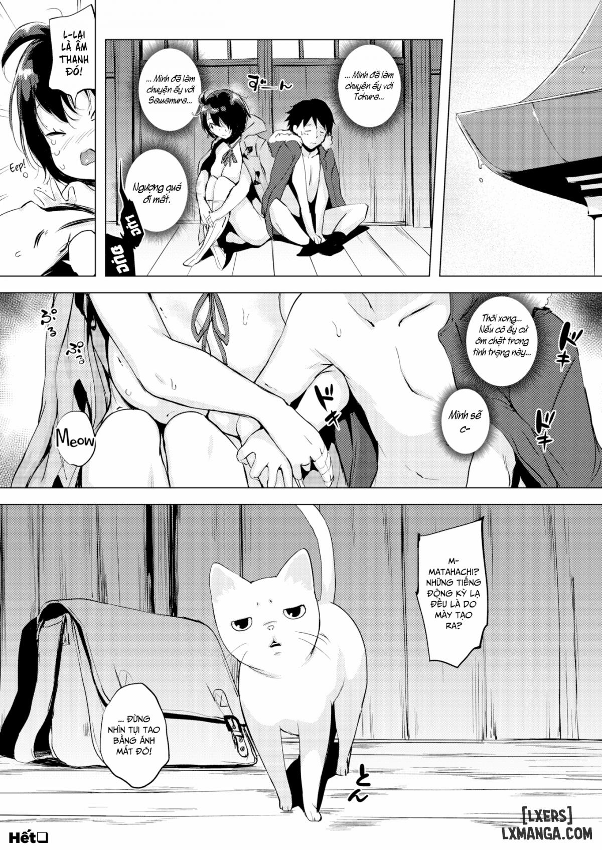 Tokura-san Loves Cat 1 trang 18